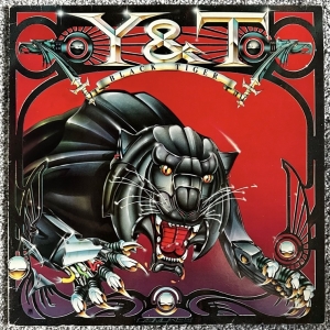 Black Tiger Image