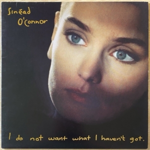 I Do Not Want What I Haven't Got Image