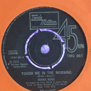 Touch Me In The Morning Image