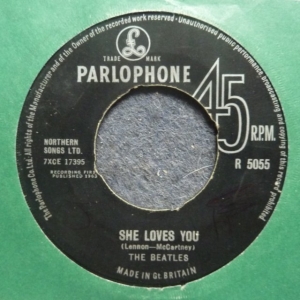 She Loves You Image