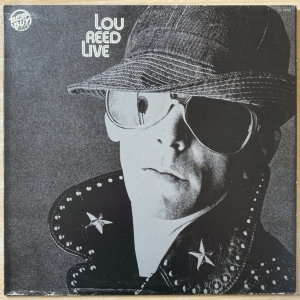 Lou Reed Live Image