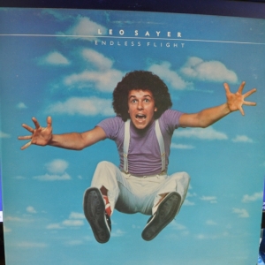 Endless Flight Image