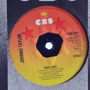 Disco Lady Image