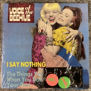 I Say Nothing Image