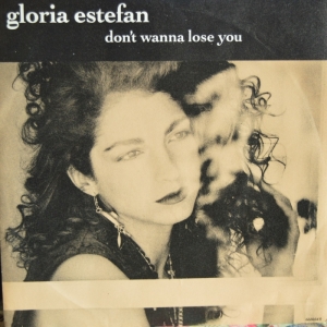 Don't Wanna Lose You Image