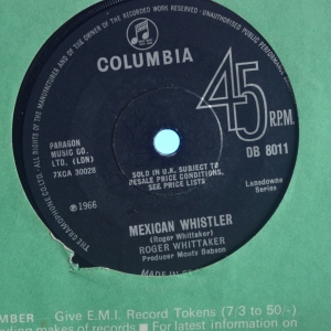 Mexican Whistler Image