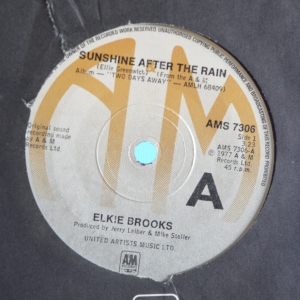 Sunshine After The Rain Image