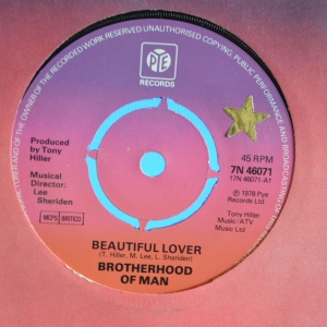 Beautiful Lover Image