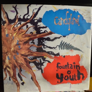 Fountain O' Youth Image