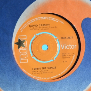 I Write The Songs Image