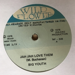Jah Jah Love Them Image