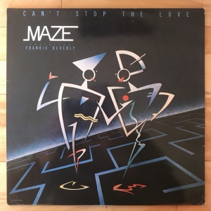 Can't Stop The Love Image