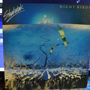 Night Birds Image