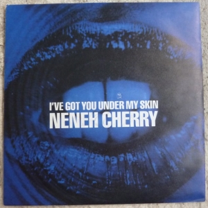 I've Got You Under My Skin Image