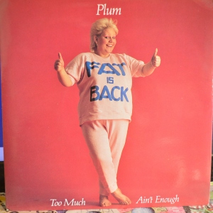 Too Much Ain't Enough (Fat is Back) Image