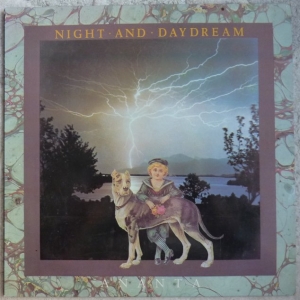 Night And Daydream Image