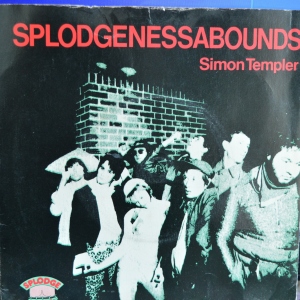 Simon Templer Image