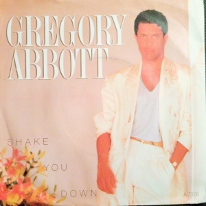 Shake You Down Image