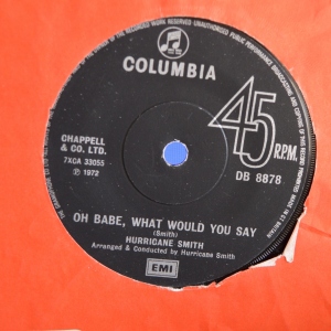 Oh Babe, What Would You Say Image