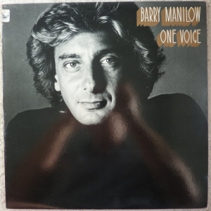 One Voice Image