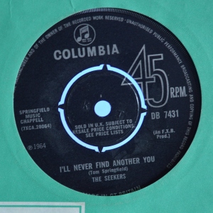 I'll Never Find Another You Image
