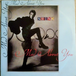 Mad About You (Remix) Image