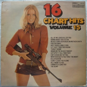 16 Chart Hits Volume 15 Image
