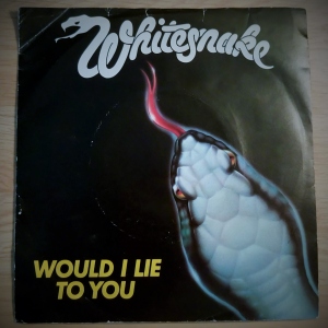 Would I Lie To You Image