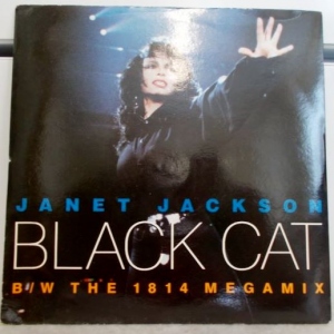 Black Cat Image