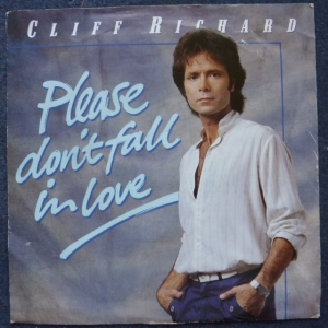 Please Don't Fall In Love Image