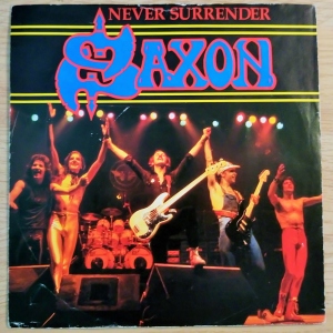 Never Surrender Image
