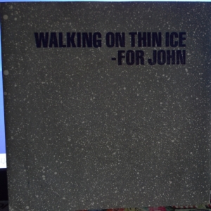 Walking On Thin Ice Image