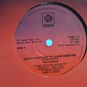 Everybody's Got To Learn Sometime Image
