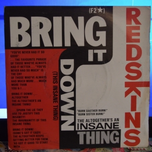 Bring It Down! (This Insane Thing) Image