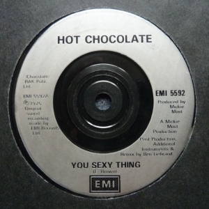 You Sexy Thing Image