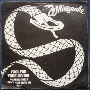 Fool For Your Loving Image