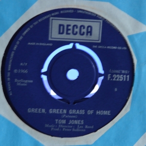 Green, Green Grass Of Home Image
