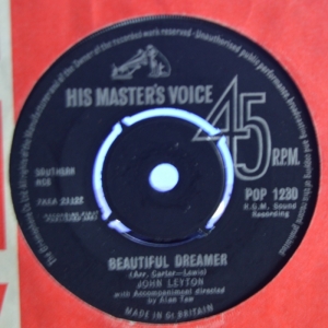 Beautiful Dreamer Image