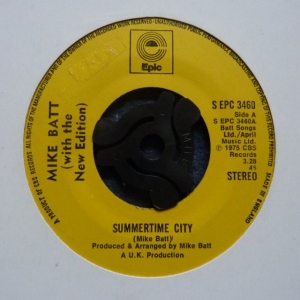 Summertime City Image