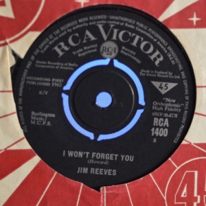 I Won't Forget You Image