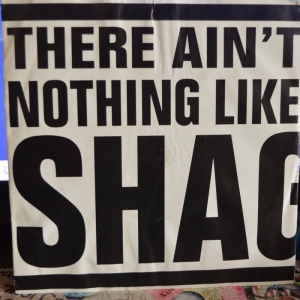 There Ain't Nothing Like Shaggin' Image