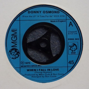 When I Fall In Love Image