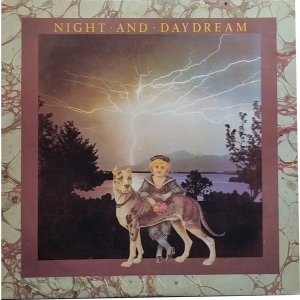 Night And Daydream Image