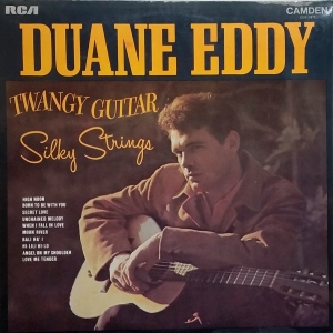 Twangy Guitar - Silky Strings Image