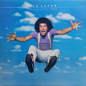 Endless Flight Image