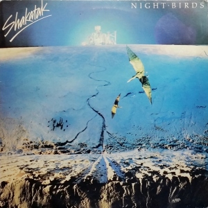 Night Birds Image