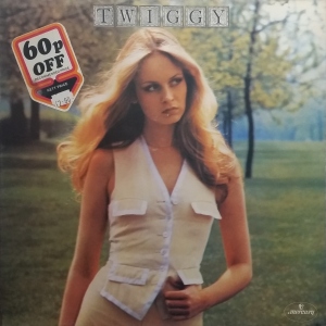 Twiggy Image