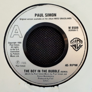 The Boy In The Bubble Image