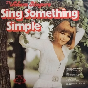 Sing Something Simple Image