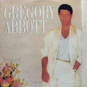 Shake You Down Image